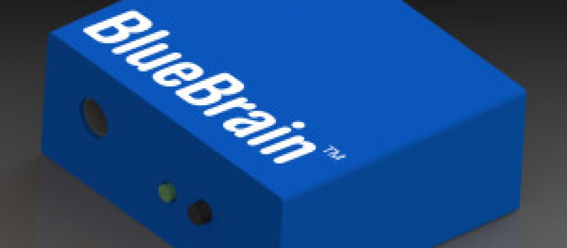 Bluebrain_wwlogo_3-300x243